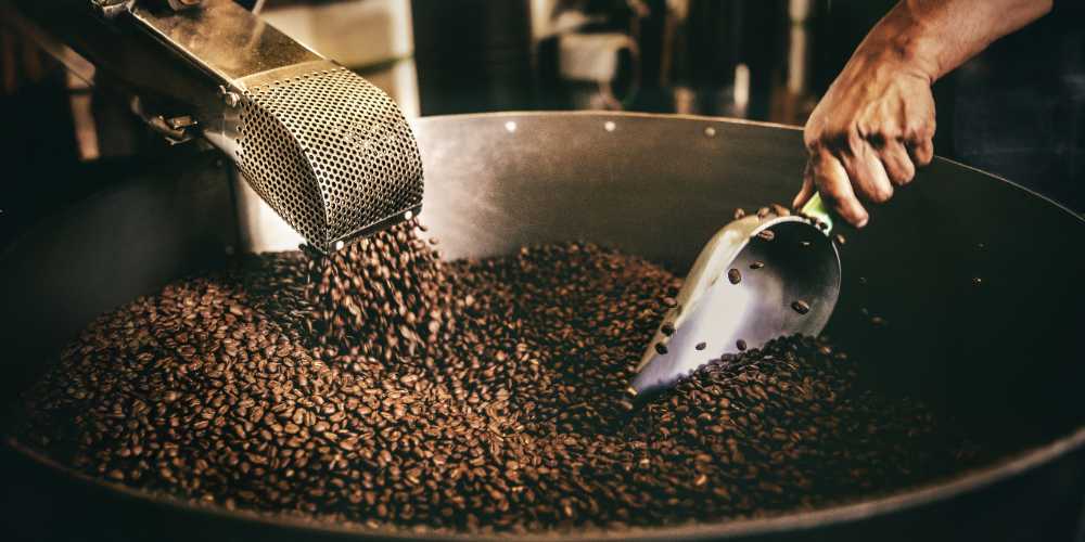 Coffee King Beans: Which One Is Right for You?