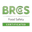 BRCGS icon