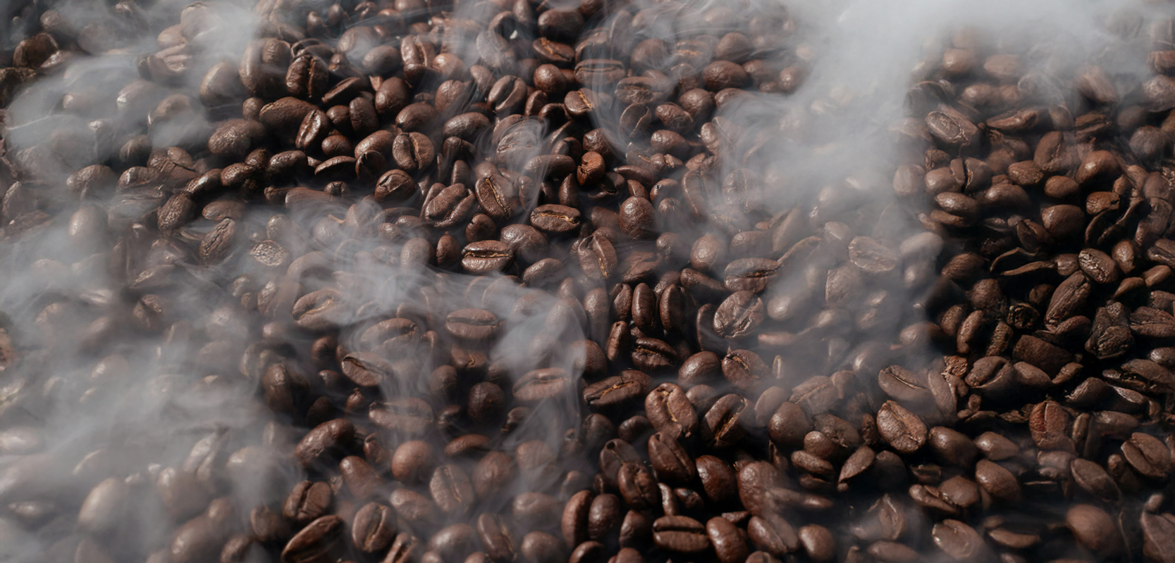 Premium coffee, syrups and barista gear for home and pro use